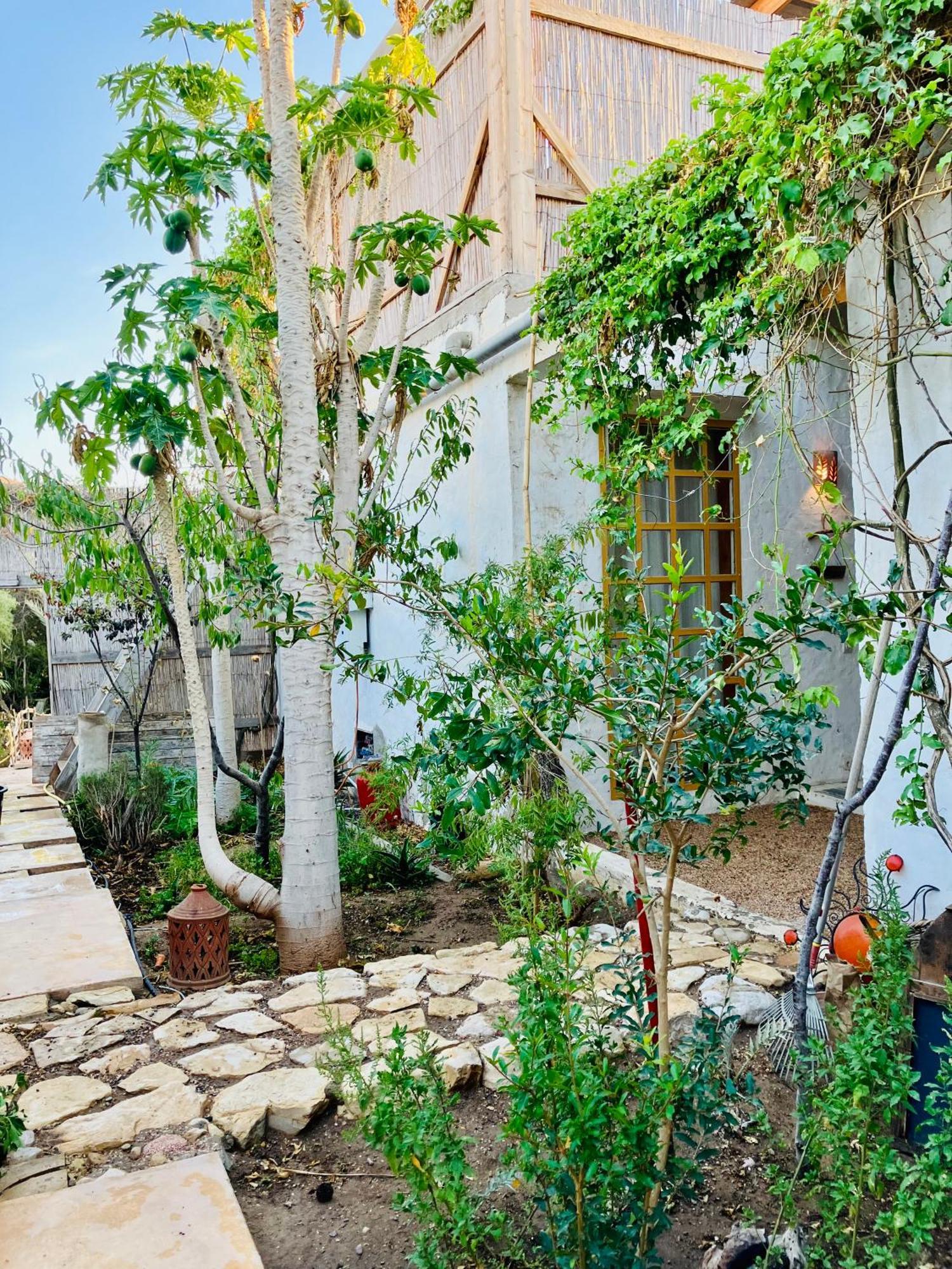 Paradise Guest House أغادير المظهر الخارجي الصورة