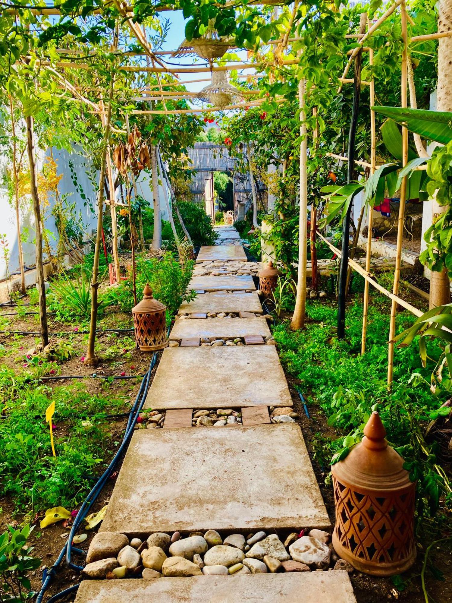 Paradise Guest House أغادير المظهر الخارجي الصورة